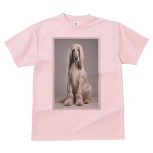 AtKnEh TVc fB[X t@  t  vg JWA 킢 lԗp h ̃fUC ʔ AtKnEh