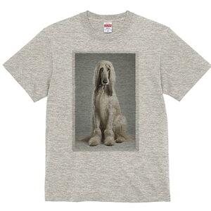 AtKnEh TVc fB[X t@  t  vg JWA 킢 lԗp h ̃fUC ʔ AtKnEh