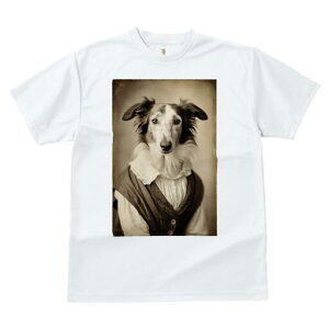 {]C TVc fB[X t@  t  vg JWA 킢 lԗp h ̃fUC ʔ AeB[N {]C g Be[W ZsA