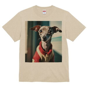 C^AO[nEh TVc fB[X t@  t  vg JWA 킢 lԗp h ̃fUC ʔ Z[^[ C^AO[nEh