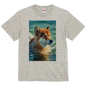 Č TVc fB[X t@  t  vg JWA 킢 lԗp h ̃fUC ʔ  Č  g