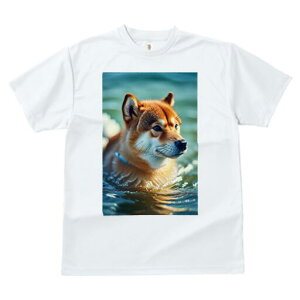 Č TVc fB[X t@  t  vg JWA 킢 lԗp h ̃fUC ʔ  Č  g