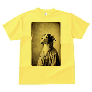 {]C TVc fB[X t@  t  vg JWA 킢 lԗp h ̃fUC ʔ AeB[N {]C g Be[W ё