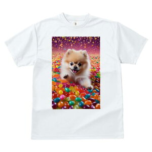 |jA TVc fB[X t@  t  vg JWA 킢 lԗp h ̃fUC ʔ LfB |jA Jt XC[c