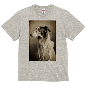 {]C TVc fB[X t@  t  vg JWA 킢 lԗp h ̃fUC ʔ AeB[N {]C [X {^