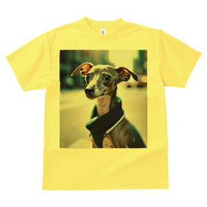 C^AO[nEh TVc fB[X t@  t  vg JWA 킢 lԗp h ̃fUC ʔ X C^AO[nEh XJ[t