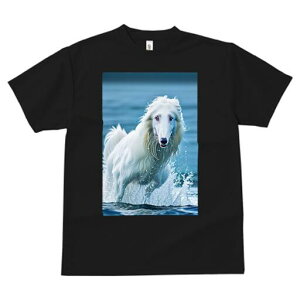 AtKnEh TVc fB[X t@  t  vg JWA 킢 lԗp h ̃fUC ʔ Ԃ AtKnEh