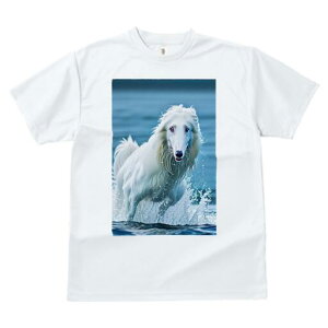 AtKnEh TVc fB[X t@  t  vg JWA 킢 lԗp h ̃fUC ʔ Ԃ AtKnEh