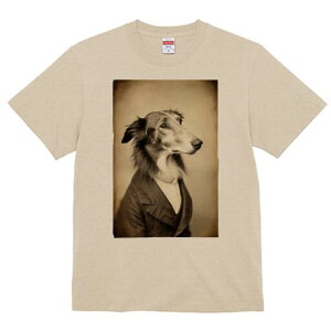 {]C TVc fB[X t@  t  vg JWA 킢 lԗp h ̃fUC ʔ X[c {]C Be[W