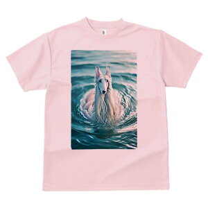 {]C TVc fB[X t@  t  vg JWA 킢 lԗp h ̃fUC ʔ  {]C C