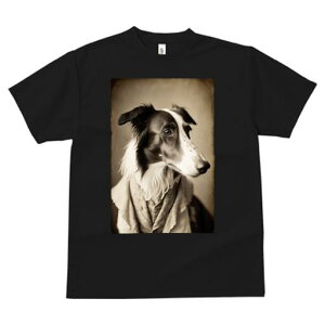 {]C TVc fB[X t@  t  vg JWA 킢 lԗp h ̃fUC ʔ AeB[N {]C g Be[W