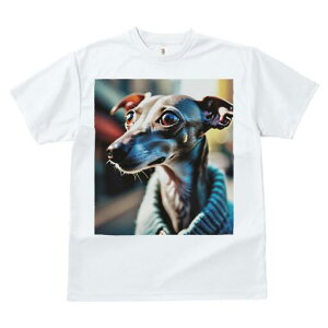 C^AO[nEh TVc fB[X t@  t  vg JWA 킢 lԗp h ̃fUC ʔ Z[^[ C^AO[nEh