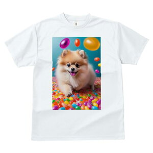 |jA TVc fB[X t@  t  vg JWA 킢 lԗp h ̃fUC ʔ LfB |jA Jt XC[c َq