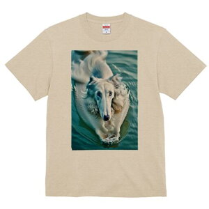 {]C TVc fB[X t@  t  vg JWA 킢 lԗp h ̃fUC ʔ  {]C 