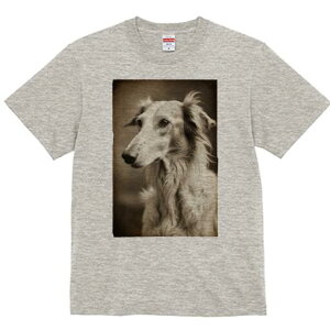 {]C TVc fB[X t@  t  vg JWA 킢 lԗp h ̃fUC ʔ {]C