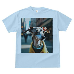 C^AO[nEh TVc fB[X t@  t  vg JWA 킢 lԗp h ̃fUC ʔ X C^AO[nEh 