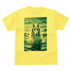 {]C TVc fB[X t@  t  vg JWA 킢 lԗp h ̃fUC ʔ  {]C C