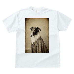 {]C TVc fB[X t@  t  vg JWA 킢 lԗp h ̃fUC ʔ X[c {]C Be[W g