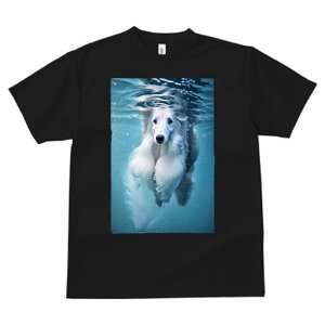 AtKnEh TVc fB[X t@  t  vg JWA 킢 lԗp h ̃fUC ʔ  AtKnEh 