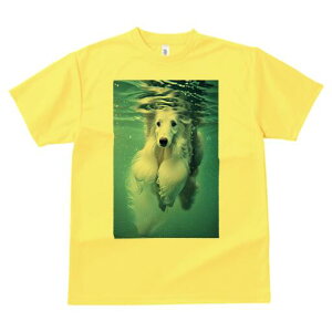 AtKnEh TVc fB[X t@  t  vg JWA 킢 lԗp h ̃fUC ʔ  AtKnEh 