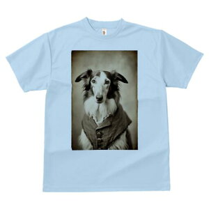 {]C TVc fB[X t@  t  vg JWA 킢 lԗp h ̃fUC ʔ WPbg {]C {^ [X