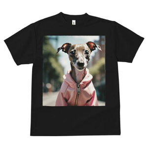 C^AO[nEh TVc fB[X t@  t  vg JWA 킢 lԗp h ̃fUC ʔ WPbg C^AO[nEh 