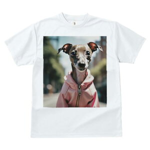 C^AO[nEh TVc fB[X t@  t  vg JWA 킢 lԗp h ̃fUC ʔ WPbg C^AO[nEh 