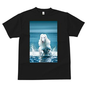 AtKnEh TVc fB[X t@  t  vg JWA 킢 lԗp h ̃fUC ʔ Ԃ AtKnEh 