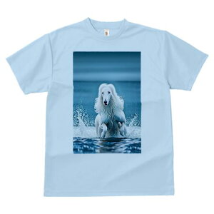 AtKnEh TVc fB[X t@  t  vg JWA 킢 lԗp h ̃fUC ʔ Ԃ AtKnEh 