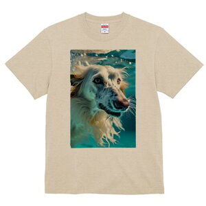 AtKnEh TVc fB[X t@  t  vg JWA 킢 lԗp h ̃fUC ʔ  AtKnEh 