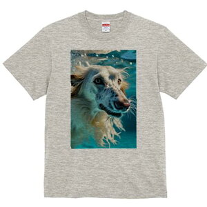 AtKnEh TVc fB[X t@  t  vg JWA 킢 lԗp h ̃fUC ʔ  AtKnEh 