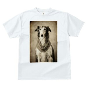 {]C TVc fB[X t@  t  vg JWA 킢 lԗp h ̃fUC ʔ {]C