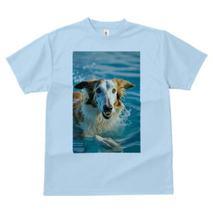 {]C TVc fB[X t@  t  vg JWA 킢 lԗp h ̃fUC ʔ  {]C Ԃ