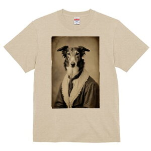 {]C TVc fB[X t@  t  vg JWA 킢 lԗp h ̃fUC ʔ ё {]C 