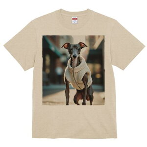 C^AO[nEh TVc fB[X t@  t  vg JWA 킢 lԗp h ̃fUC ʔ jbg C^AO[nEh Z[^[ 