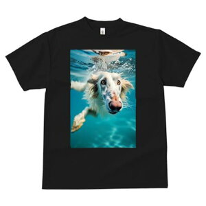 AtKnEh TVc fB[X t@  t  vg JWA 킢 lԗp h ̃fUC ʔ  AtKnEh 