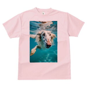 AtKnEh TVc fB[X t@  t  vg JWA 킢 lԗp h ̃fUC ʔ  AtKnEh 