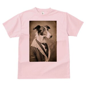 {]C TVc fB[X t@  t  vg JWA 킢 lԗp h ̃fUC ʔ AeB[N {]C [X