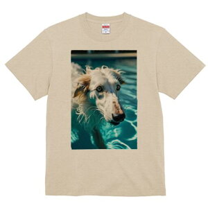 {]C TVc fB[X t@  t  vg JWA 킢 lԗp h ̃fUC ʔ v[ {]C