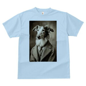 {]C TVc fB[X t@  t  vg JWA 킢 lԗp h ̃fUC ʔ X[c {]C lN^C