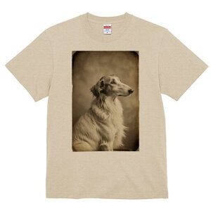 {]C TVc fB[X t@  t  vg JWA 킢 lԗp h ̃fUC ʔ {]C