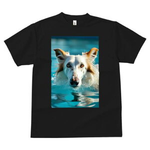 {]C TVc fB[X t@  t  vg JWA 킢 lԗp h ̃fUC ʔ  {]C v[