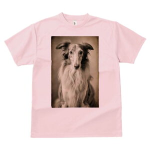 {]C TVc fB[X t@  t  vg JWA 킢 lԗp h ̃fUC ʔ {]C