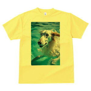 {]C TVc fB[X t@  t  vg JWA 킢 lԗp h ̃fUC ʔ  {]C v[