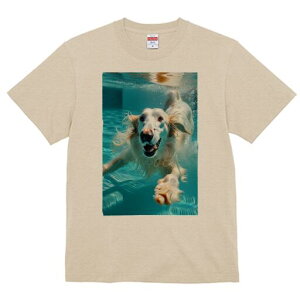 S[fgo[ TVc fB[X t@  t  vg JWA 킢 lԗp h ̃fUC ʔ  S[fgo[  v[