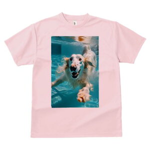 S[fgo[ TVc fB[X t@  t  vg JWA 킢 lԗp h ̃fUC ʔ  S[fgo[  v[