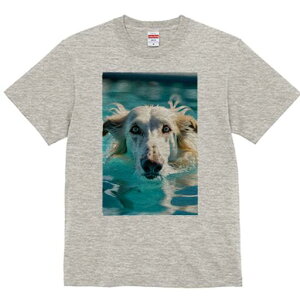 AtKnEh TVc fB[X t@  t  vg JWA 킢 lԗp h ̃fUC ʔ  AtKnEh v[