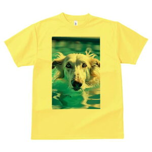 AtKnEh TVc fB[X t@  t  vg JWA 킢 lԗp h ̃fUC ʔ  AtKnEh v[