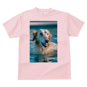 {]C TVc fB[X t@  t  vg JWA 킢 lԗp h ̃fUC ʔ  {]C v[