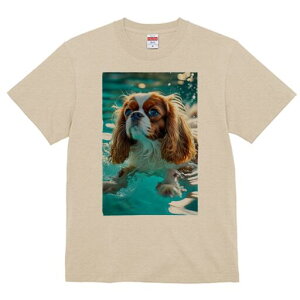 LoA TVc fB[X t@  t  vg JWA 킢 lԗp h ̃fUC ʔ  LoA  v[